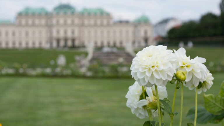Schönbrunn Garten und Schloss