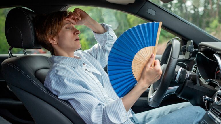 In Wien gibt es insgesamt 629 Kfz-Werkstätten.