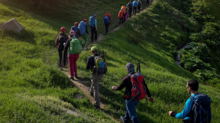 Stau am Berg: fragwürdiges Naturerlebnis dank Wanderboom