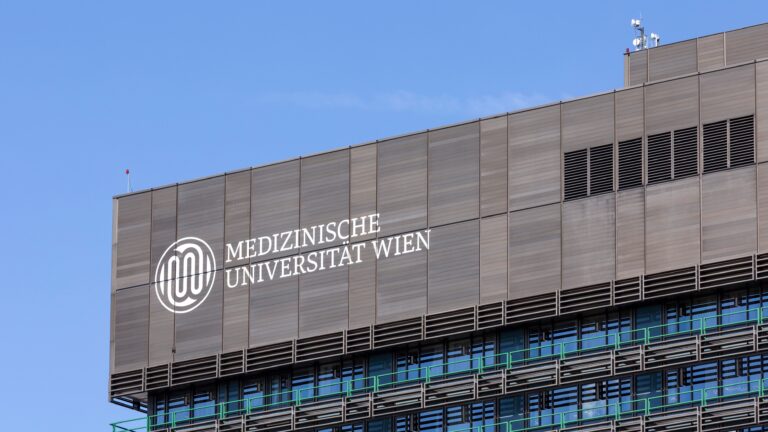 Die Fassade des Wiener Allgemeinen Krankenhauses ist zu sehen.