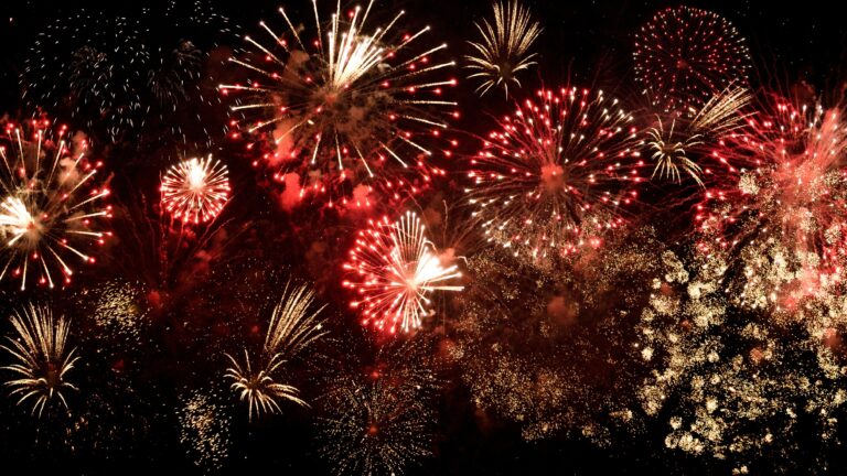 Das Bild zeigt den dunklen Nachthimmel übersät von Feuerwerken.