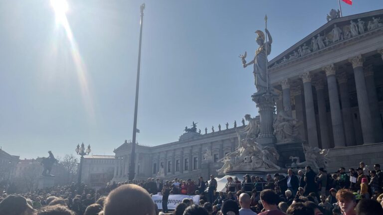Männerdemo vor dem Parlament in Wien