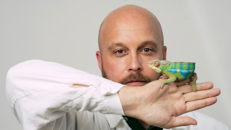 Unsichtbare Sterben: Das Verschwinden unentdeckter Arten