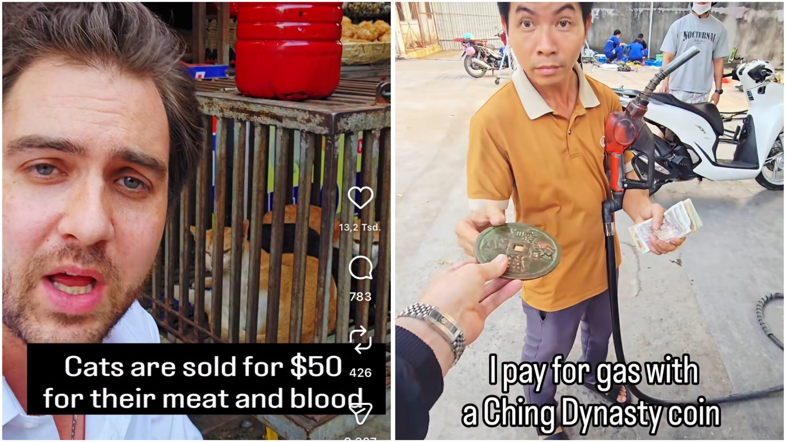 Die Videos auf Lee's Instagram Account.