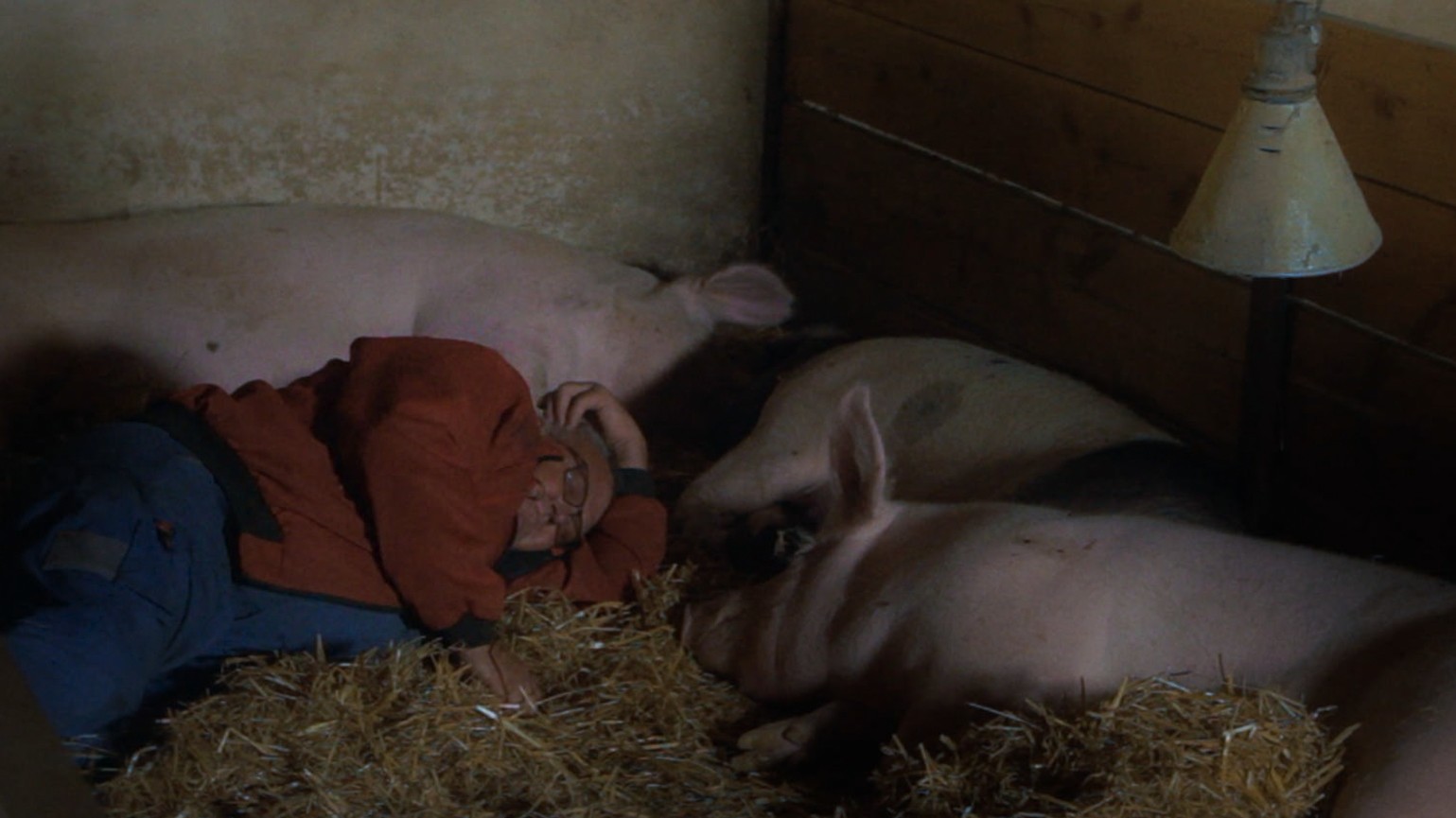 Der Kurzfilm „Ein Unfall“