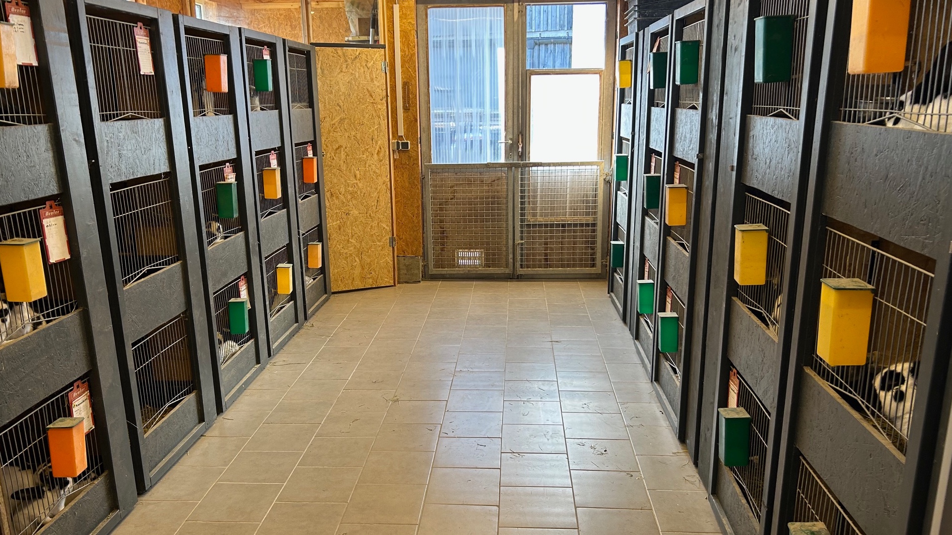 Holzvertäfelte Stallanlage mit vielen schwarzen Kaninchenkäfigen an der linken und rechten Wand.